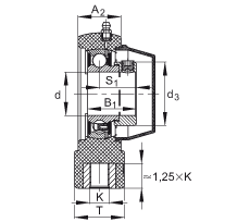 PTUE30-TV-FA125.5軸承